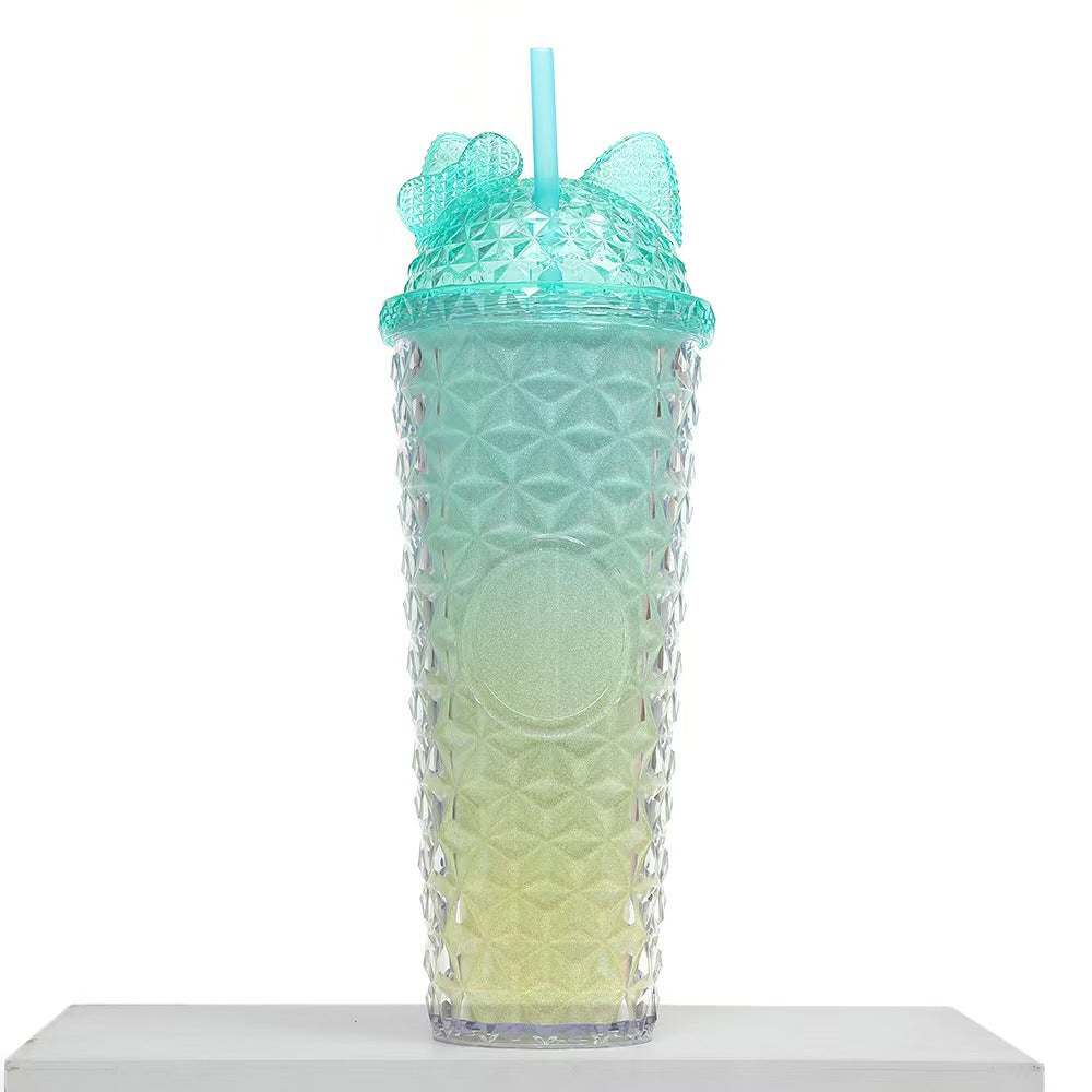 24oz Double Wall Plastic Tumbler with Straw