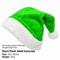 Colorful Plush Santa Hat for Christmas Parties and Events