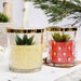 Strawberry Glass Cup Scented Candle