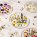 Floral Acrylic Coaster – Transparent Pressed Flower Style Cup Mat for Table Decor & Gift
