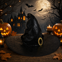 Halloween Witch Hat – Wizard Magic Hat