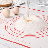 Food Grade Non-Stick Silicone Kneading Mat Dough Rolling Baking Mat