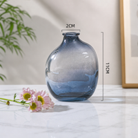 Simple Glass Bud Vase for Hydroponic Plants