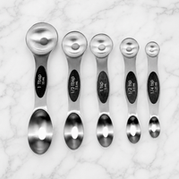 Stainless Steel Measuring Spoons with Strong Magnetic Handle 5-Piece Set