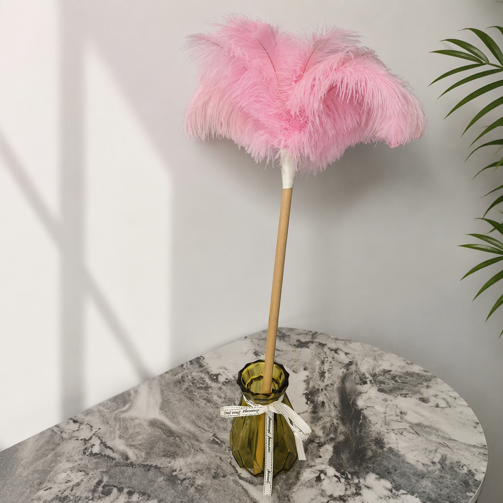 Ostrich Feather Duster for Home Cleaning