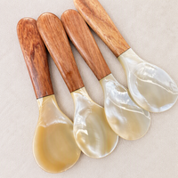 Wooden Handle Shell Spoon Seasoning Caviar Spoon