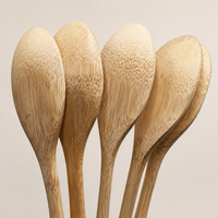 Bamboo Dessert Spoon Wooden Coffee Spoon Kitchen Tableware