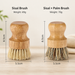 Natural Wooden Dish Scrub Brush with Coconut and Sisal Bristles