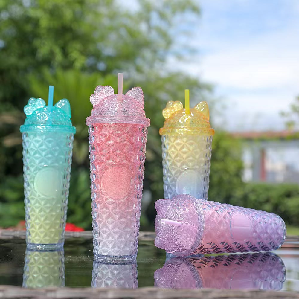 24oz Double Wall Plastic Tumbler with Straw