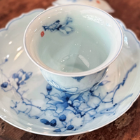 Magnolia Moon Gaiwan & Jade Cup Set