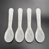 Caviar Face Mask Spoon – Mother of Pearl Shell Beauty Spatula for Skincare Application
