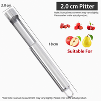 Stainless Steel Fruit Corer for Dates Hawthorn and Apples Kitchen Pitting Tool