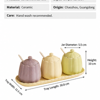 3-Piece Ceramic Condiment Jar Set with Tray and Spoons – Pastel Kitchen Seasoning Containers
