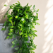 Decorative Artificial Vine – Indoor Outdoor Hanging Plant Garland
