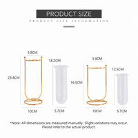 Gold Metal Test Tube Vase with Stand – Large and Small Hydroponic Flower Display