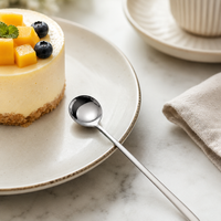 304 Stainless Steel Mini Dessert Spoon | Elegant Long Handle Coffee & Caviar Spoon