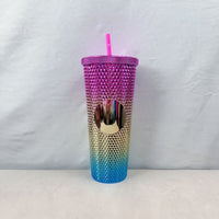 Colorful 24oz Plastic Tumbler With Straw Double Wall Insulated Cup Electroplated Finish Portable