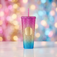 Colorful 24oz Plastic Tumbler With Straw Double Wall Insulated Cup Electroplated Finish Portable