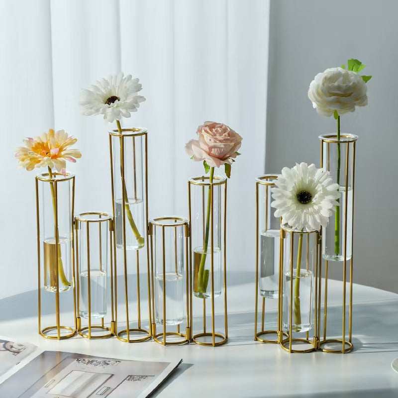 Test Tube Glass Vase Set with Metal Stand