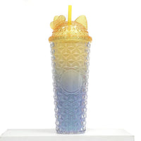 24oz Double Wall Plastic Tumbler with Straw