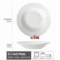 White Ceramic Pasta Bowl, 8.7 Inch Wide Rim Soup Plate