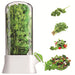 Fresh Herb Keeper Container Vegetable Storage Box with Protective Clear Cover