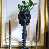 Skull Planter & Spine Stand Set – Gothic Succulent Pot Display
