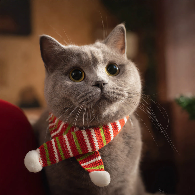 Christmas Knitted Pet Scarf for Cats and Dogs Festive Accessory