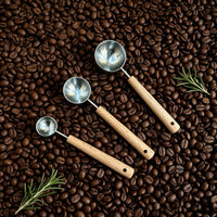 Stainless Steel Measuring Spoon with Wooden Handle