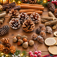 Natural Pine Cones Dried Botanical Christmas Decorations Rustic DIY Craft Supplies
