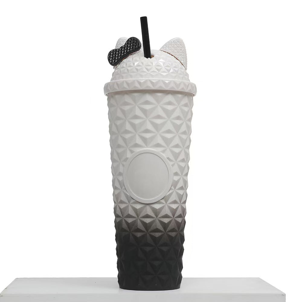 24oz Double Wall Plastic Tumbler with Straw