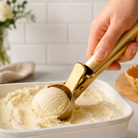 Stainless Steel 2-in-1 Ice Cream Scoop & Melon Baller, Double-Headed Summer Fruit Spoon