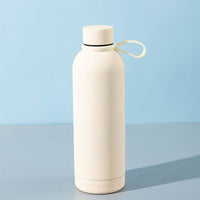 500ml Stainless Steel Insulated Water Bottle