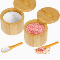 Natural Wooden Spice Storage Container for Salt
