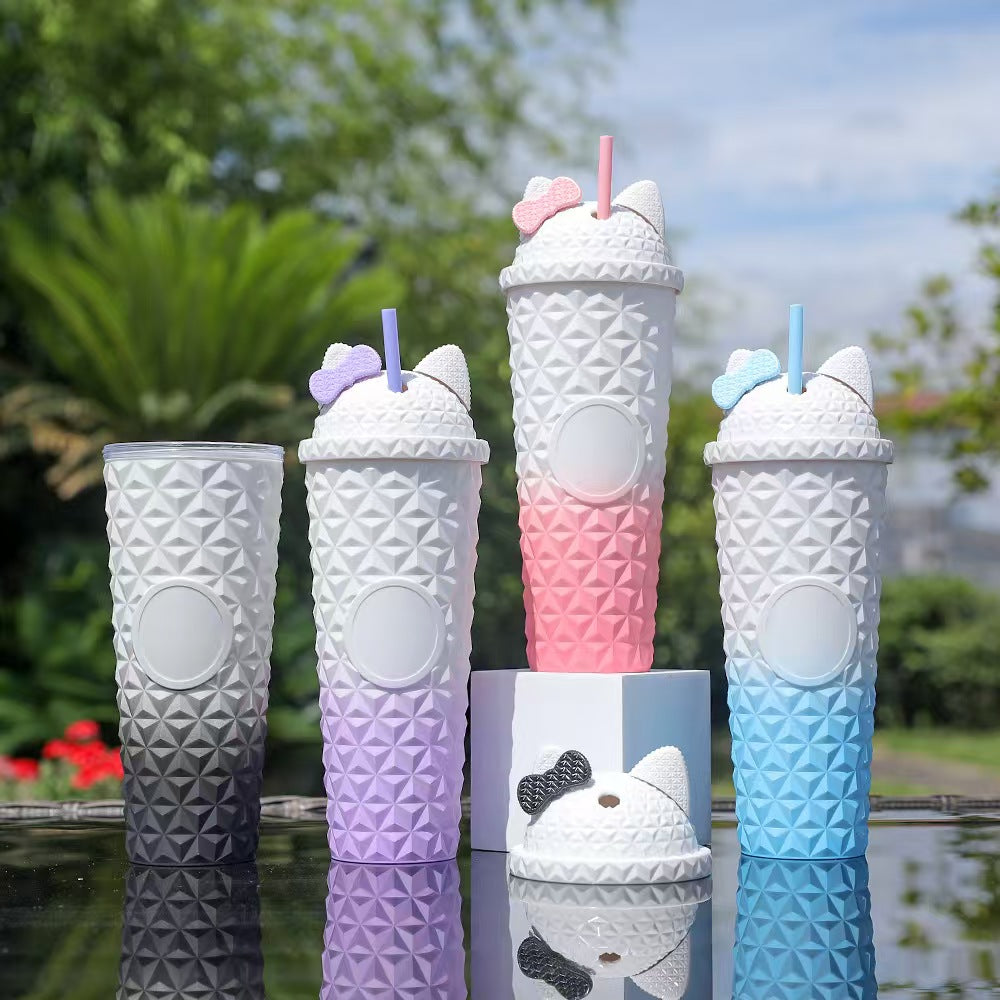 24oz Double Wall Plastic Tumbler with Straw
