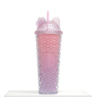 24oz Double Wall Plastic Tumbler with Straw