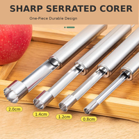 Stainless Steel Fruit Corer for Dates Hawthorn and Apples Kitchen Pitting Tool