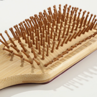 Anti-Static Air Cushion Massage Hair Comb