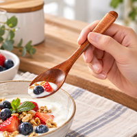 Nanmu Wood Dessert Spoon with Cord Wrapped Handle