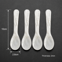 Caviar Face Mask Spoon – Mother of Pearl Shell Beauty Spatula for Skincare Application
