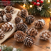 Natural Pine Cones Dried Botanical Christmas Decorations Rustic DIY Craft Supplies