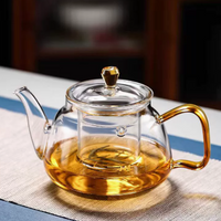 Glass Teapot for Tea Brewing