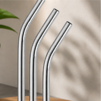 Stainless Steel Straw Set with Cleaning Brush – Reusable Metal Drinking Straws for Milk Tea