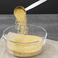 304 Stainless Steel Coffee Measuring Scoop