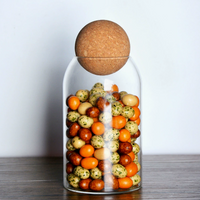 Transparent Glass Storage Jar