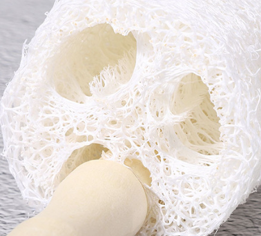 Natural Loofah Bottle Brush with Wooden Handle